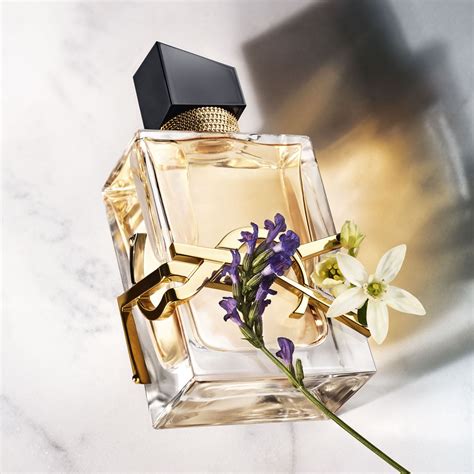 yves saint laurent erkek parfum|yves st laurent perfume women.